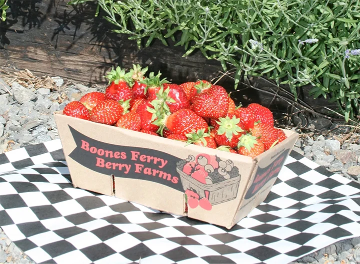 Fresh Berries in a basket