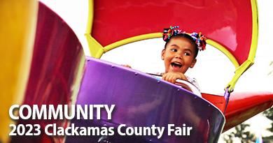 A child enjoys a fair ride