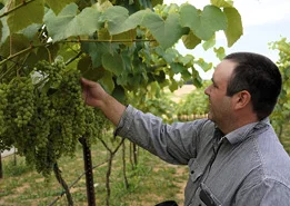 Sustainable Farming
