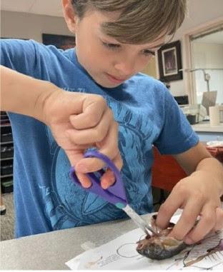 A boy benefiting from a grant engaged in a learning activity,