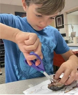 A boy benefiting from a grant engaged in a learning activity, 