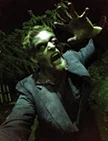 A Ghoulish Creeper at the Haunted House