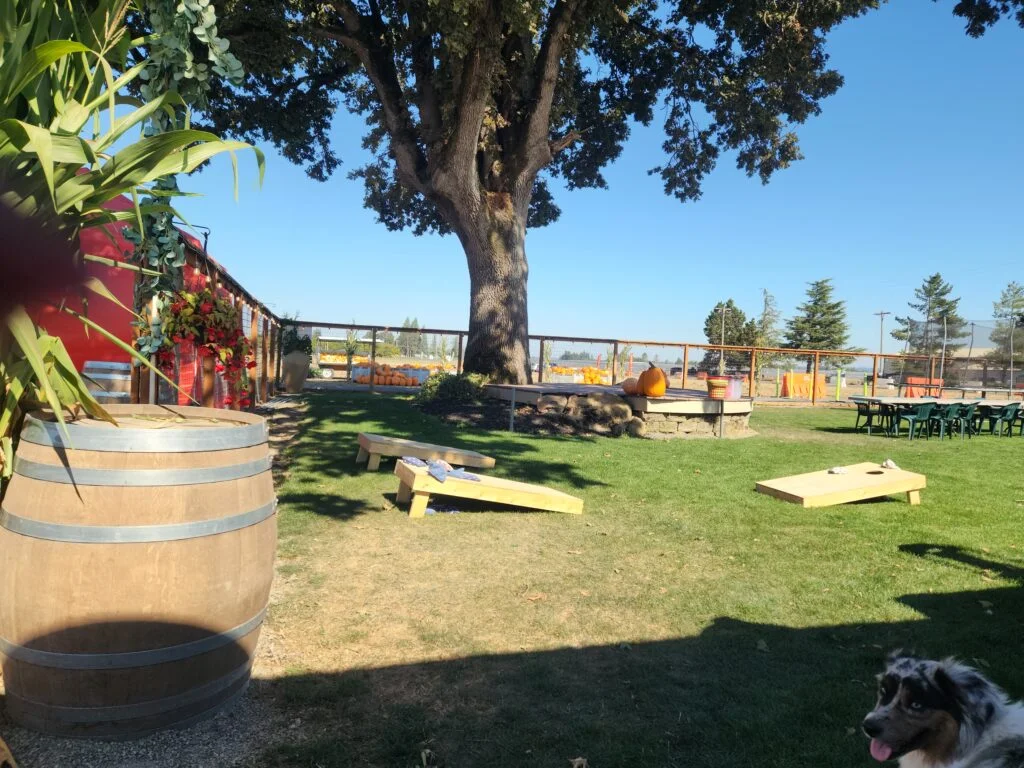 Willamette Valley Melon Company pumpkin farm