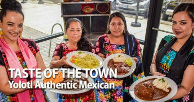 Taste of the town cover image