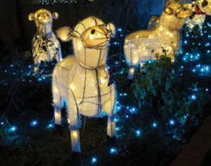 Christmas Lights at the Christmas Market