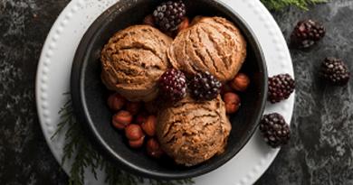 Gingerbread Ice Cream