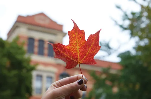 A woman holds up a red leaf